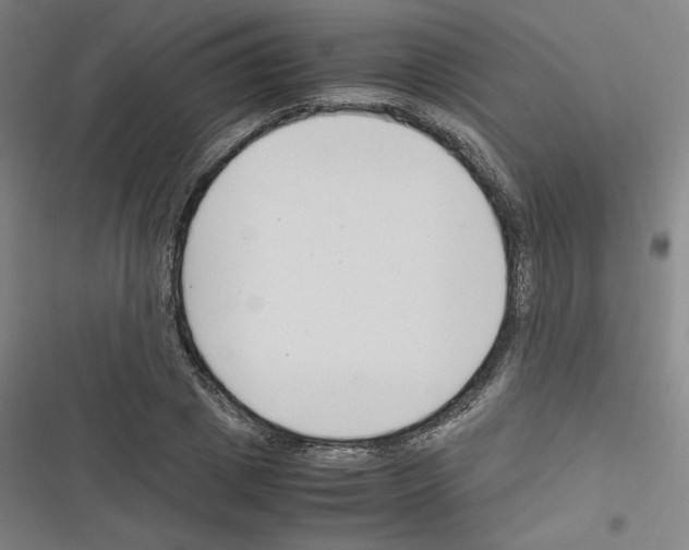 X0000116330833201001131022