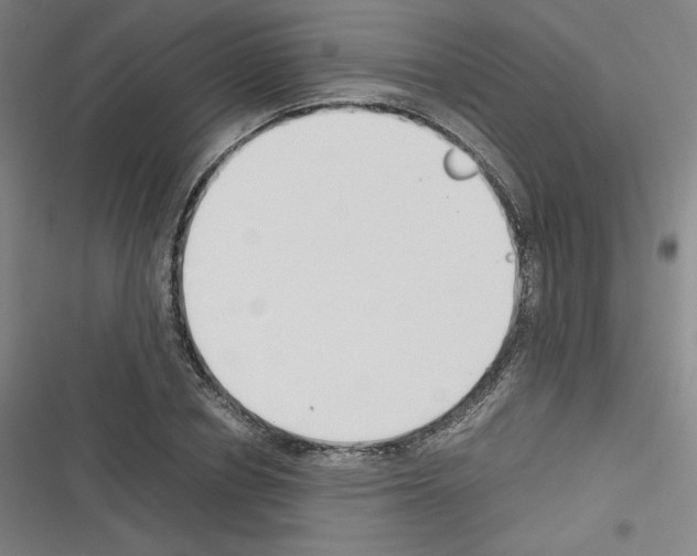 X0000116330834201001131022