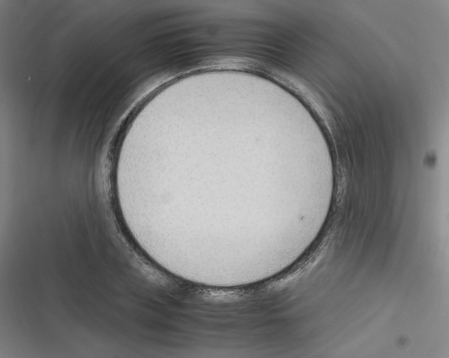 X0000116330835201001131022
