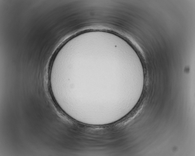 X0000116330837201001131022