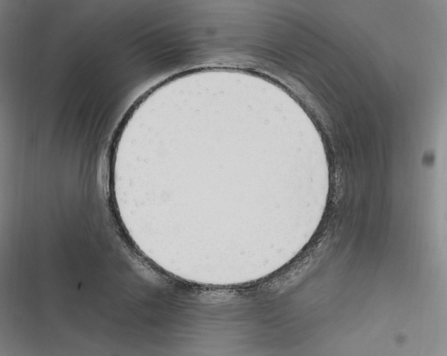 X0000116330838201001131022