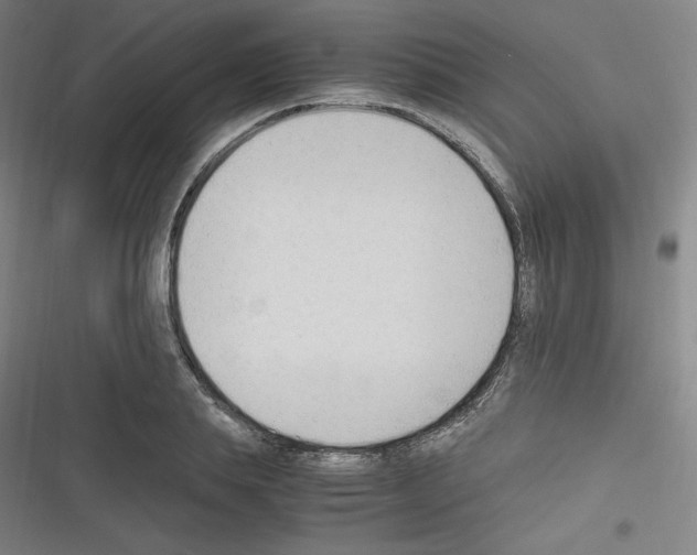 X0000116330839201001131022