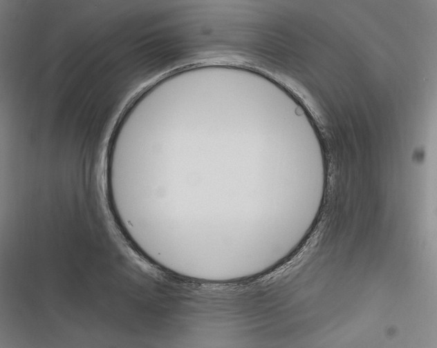 X0000116330840201001131023