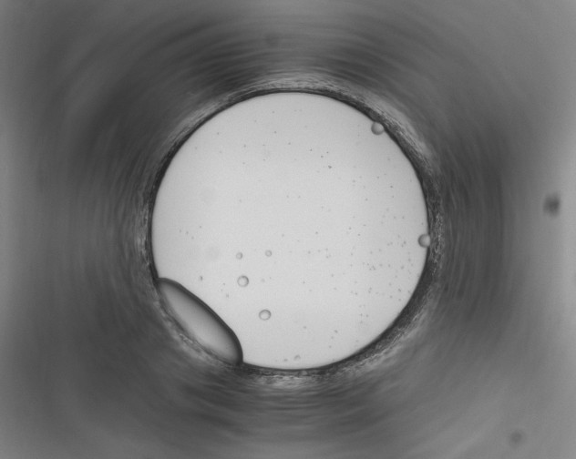 X0000116330841201001131023