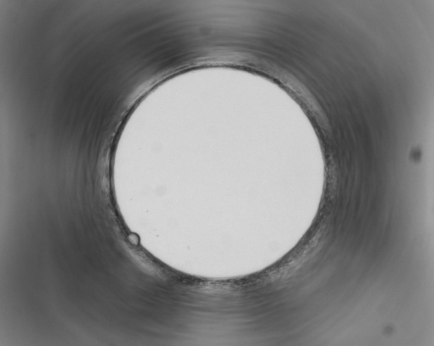 X0000116330842201001131023