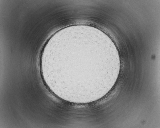 X0000116330843201001131023