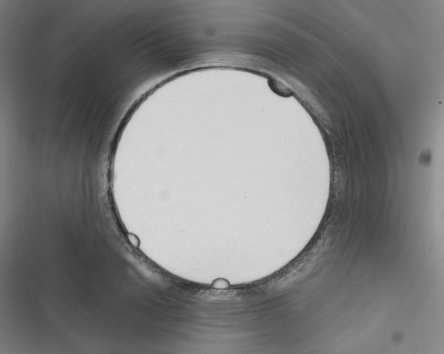 X0000116330846201001131023