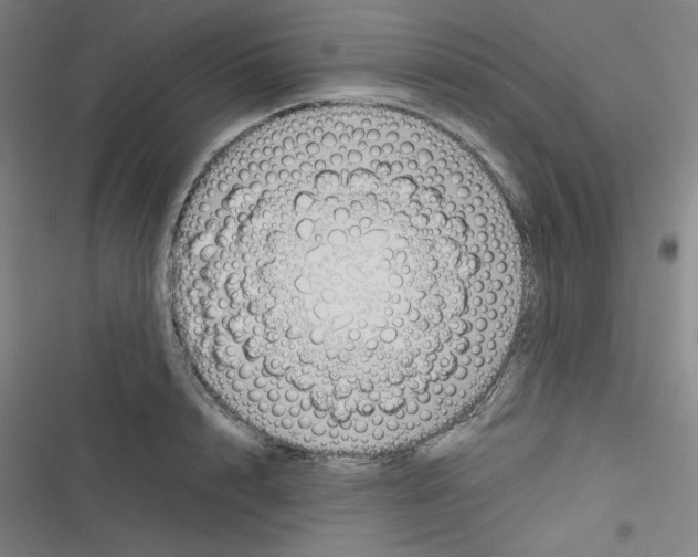 X0000116330848201001131023