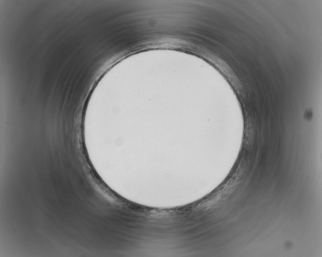 X0000116330850201001131023