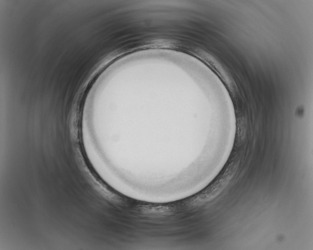 X0000116330851201001131023