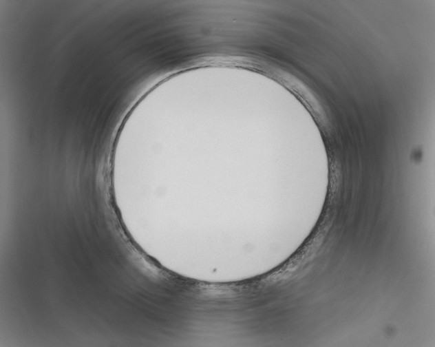 X0000116330852201001131023