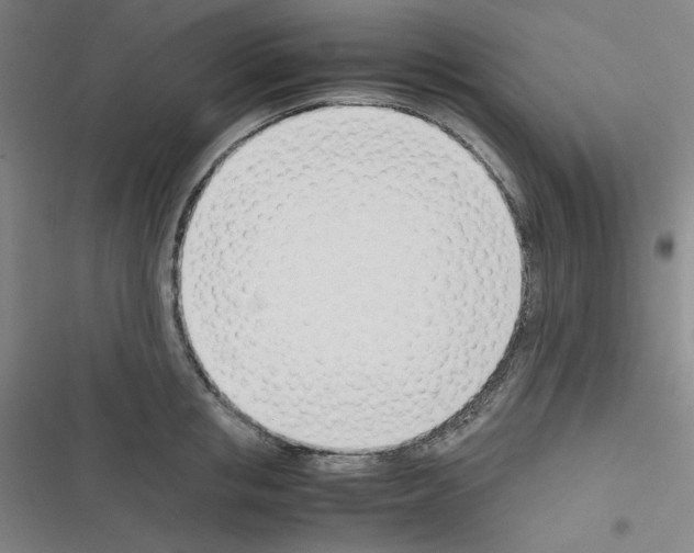 X0000116330853201001131023