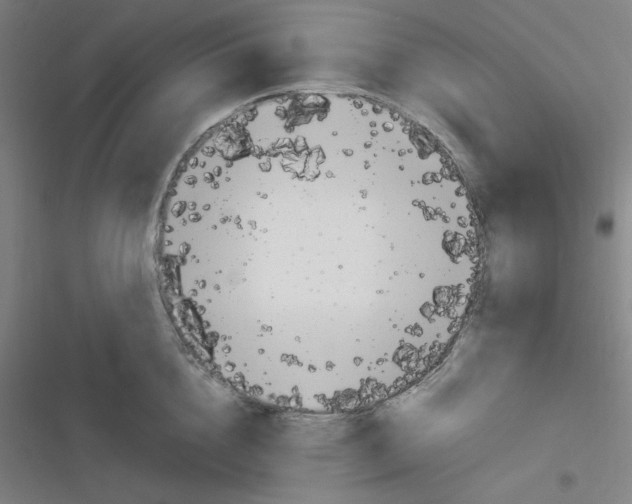 X0000116330856201001131023