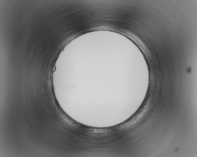 X0000116330857201001131023