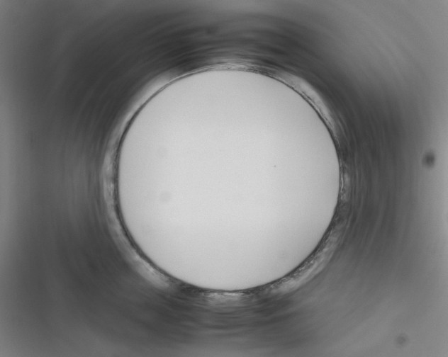 X0000116330859201001131023