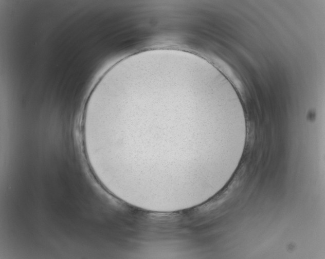 X0000116330863201001131023