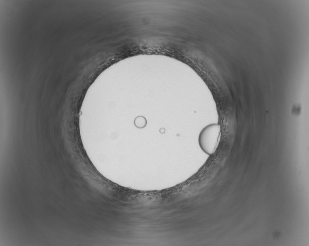 X0000116330865201001131022