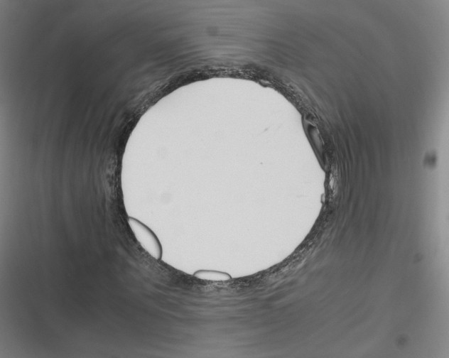 X0000116330867201001131022