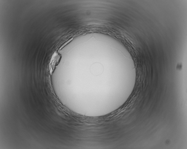 X0000116330868201001131022