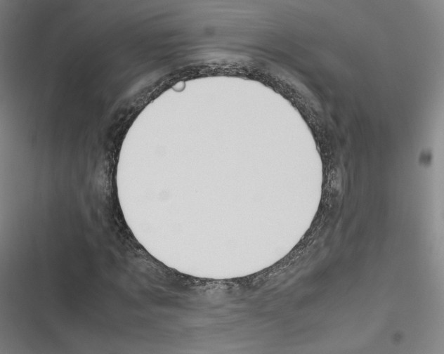 X0000116330869201001131022