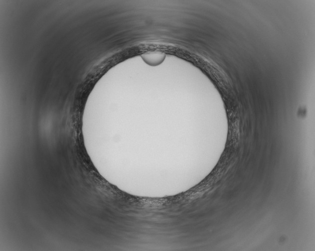 X0000116330870201001131022