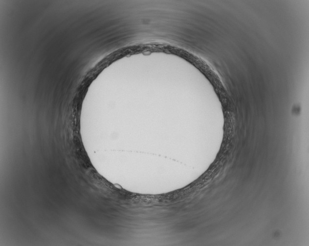 X0000116330871201001131022