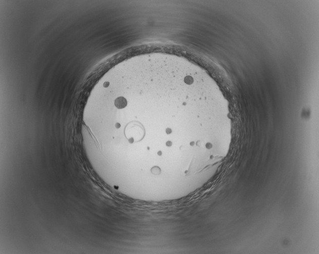 X0000116330872201001131022