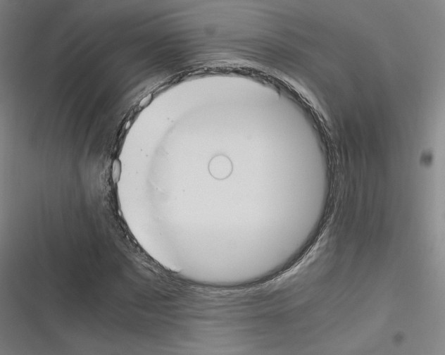 X0000116330873201001131022