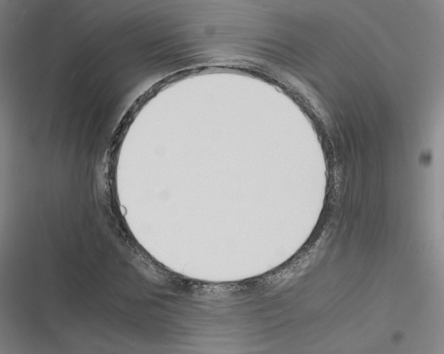 X0000116330875201001131022