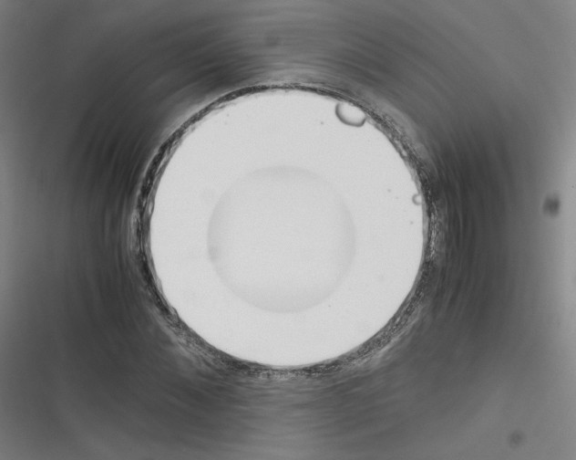 X0000116330876201001131022