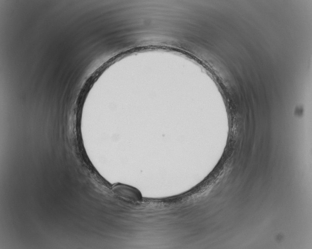 X0000116330877201001131022