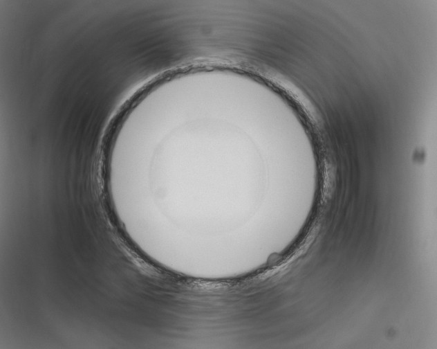 X0000116330878201001131022