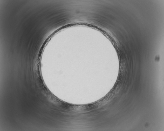 X0000116330879201001131022