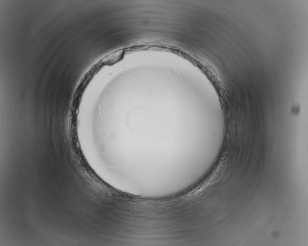 X0000116330880201001131022