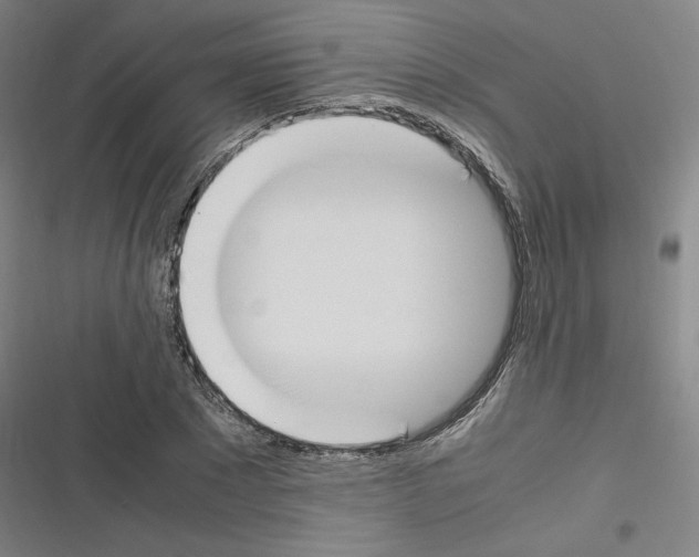 X0000116330881201001131022
