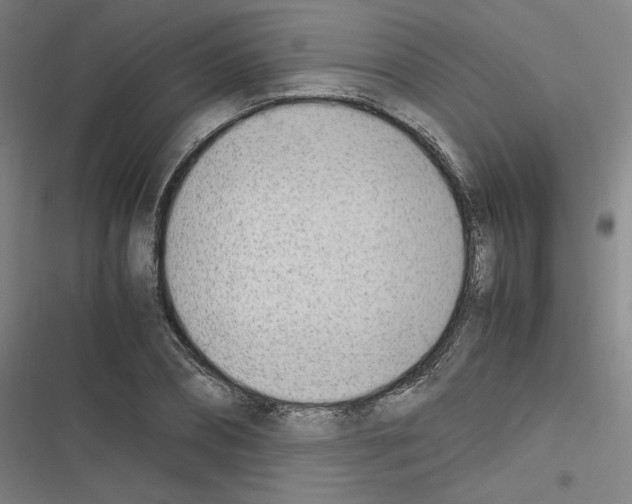 X0000116330882201001131022