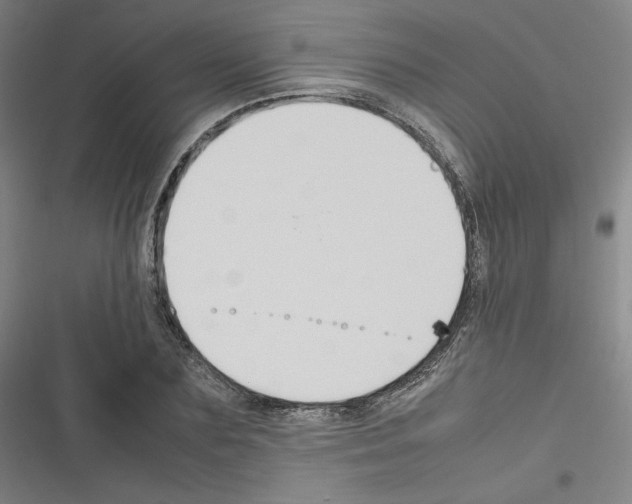 X0000116330883201001131022