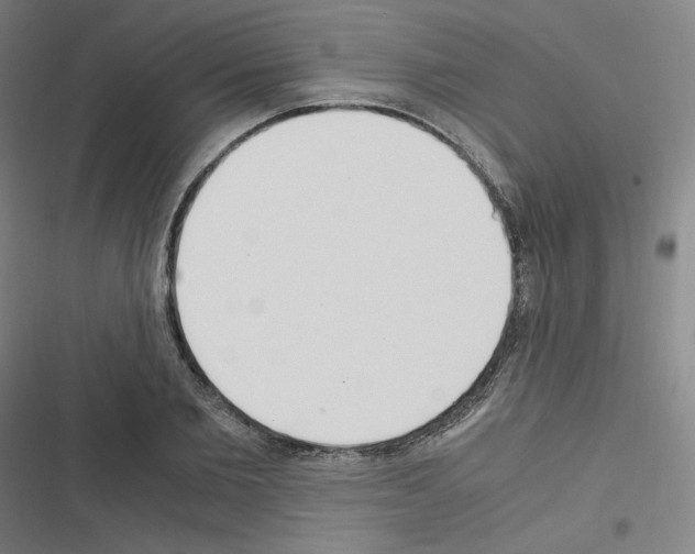 X0000116330885201001131022
