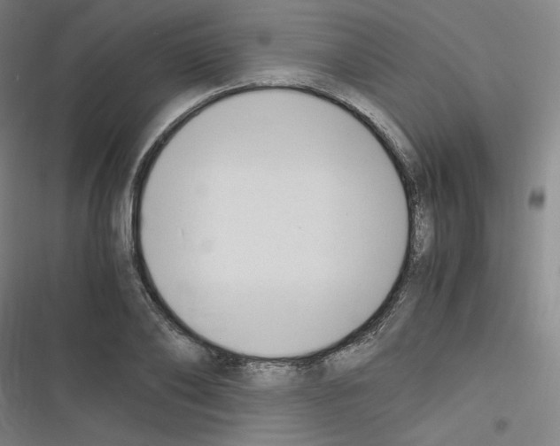 X0000116330886201001131022
