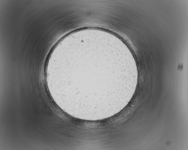 X0000116330887201001131022