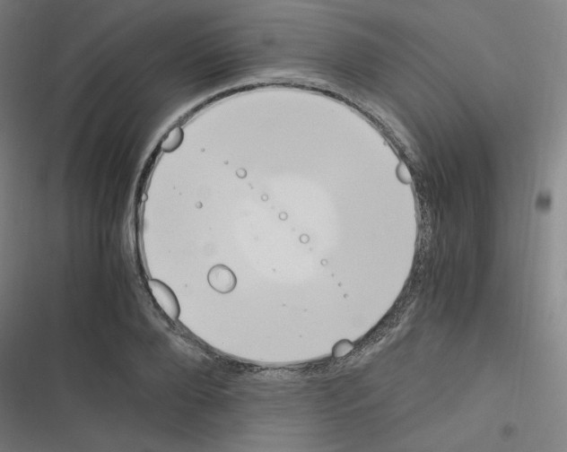 X0000116330888201001131022