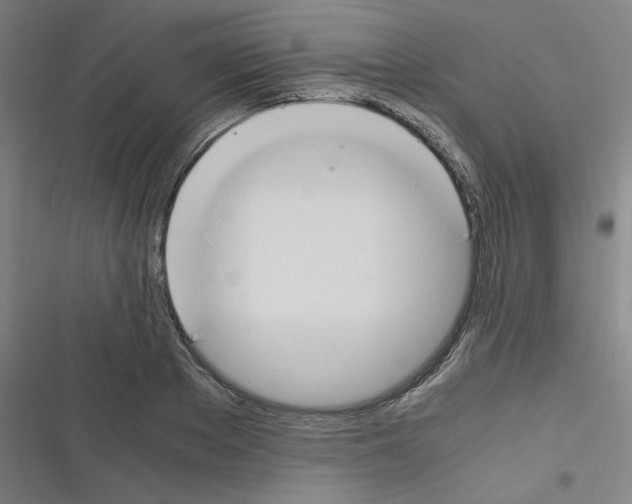 X0000116330889201001131022