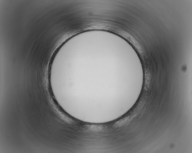 X0000116330890201001131022