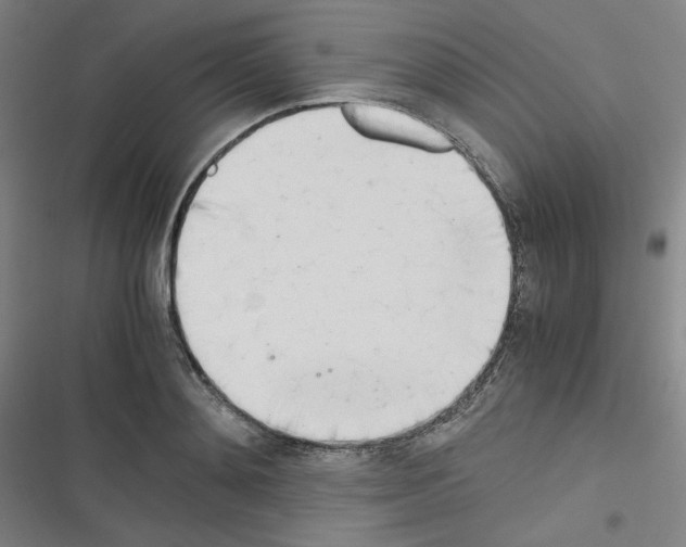 X0000116330892201001131022
