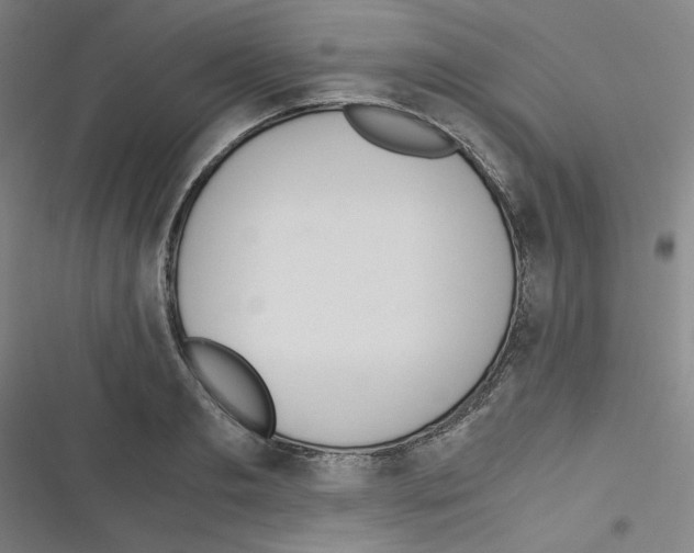 X0000116330893201001131022