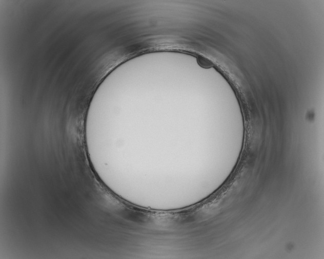 X0000116330897201001131022