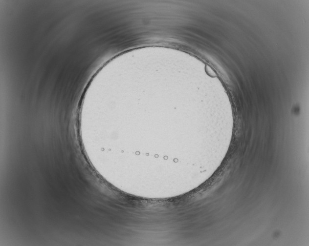 X0000116330899201001131022