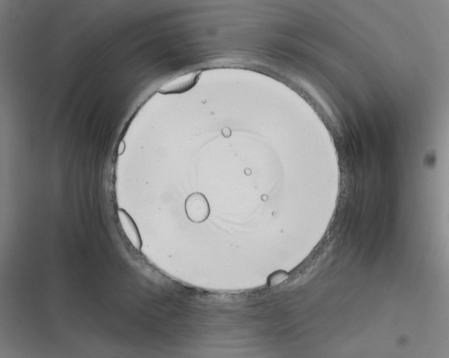 X0000116330900201001131022
