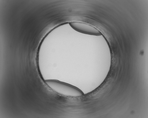 X0000116330901201001131022