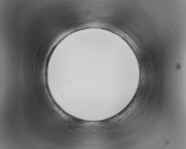 X0000116330902201001131022